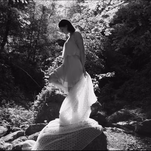 Greynoise — Anima