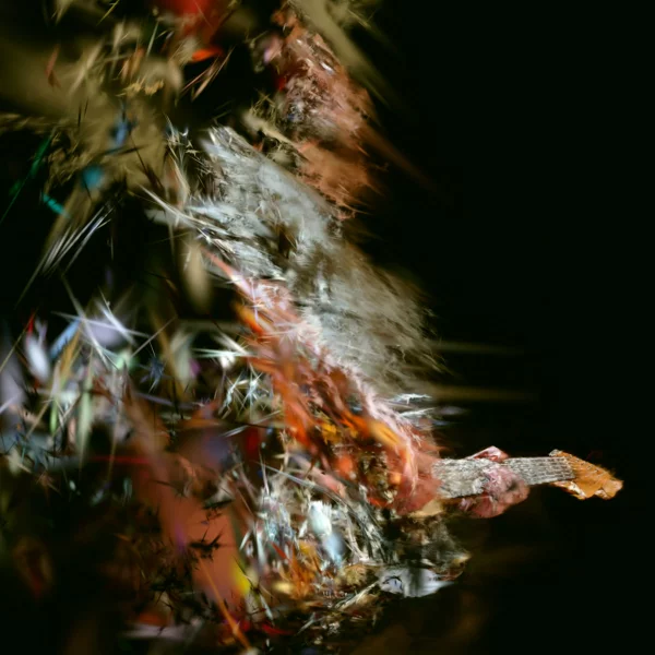 Nežni Dalibor — Miris promene